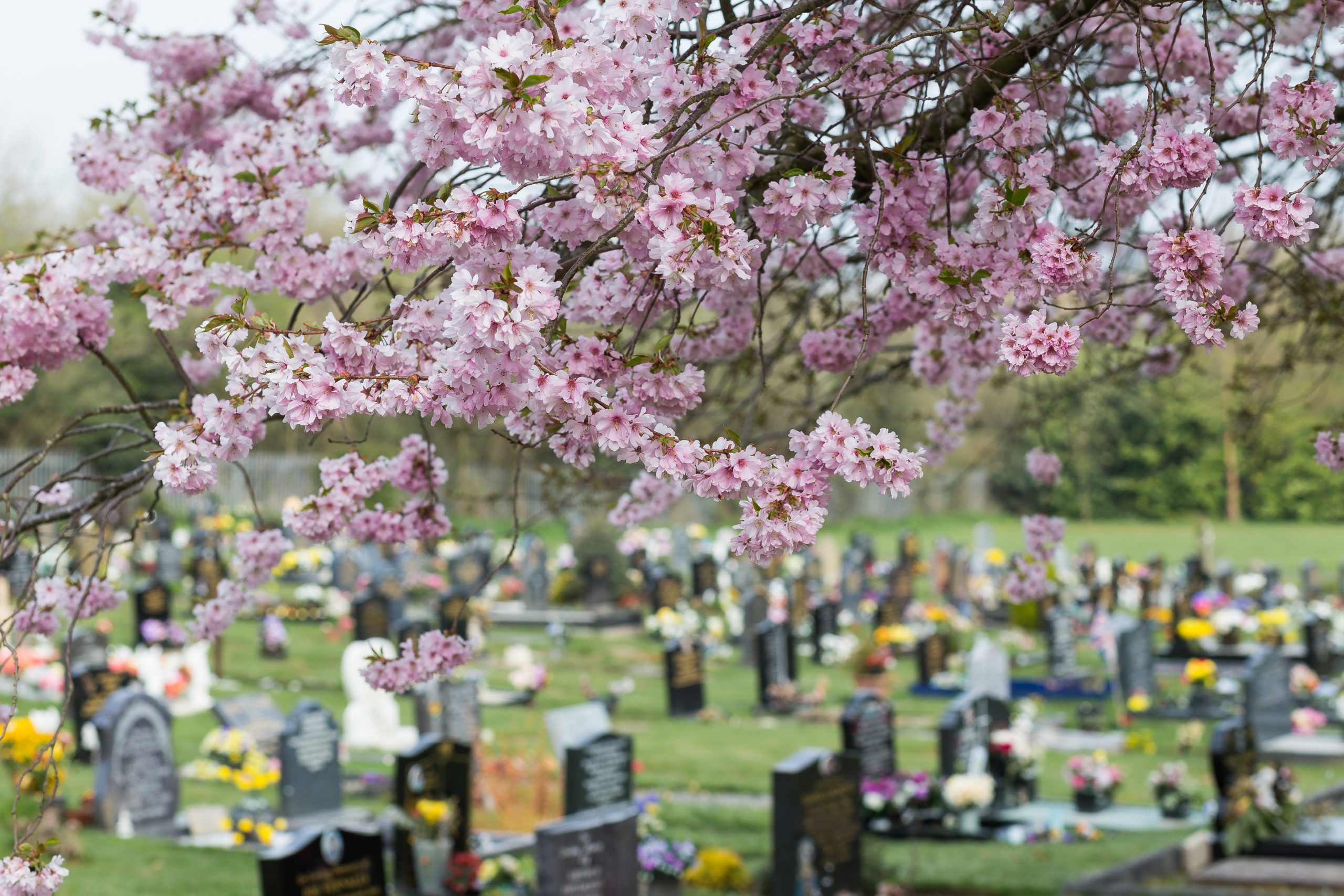 Astwoood Cemetery