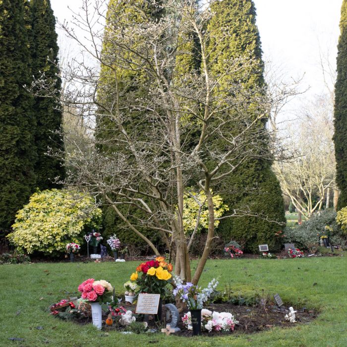 Living Memorials - Image 5