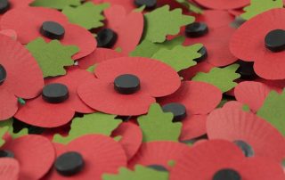 Memorial Poppies