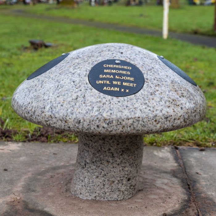Granite Mushroom 4 disc - Image 2