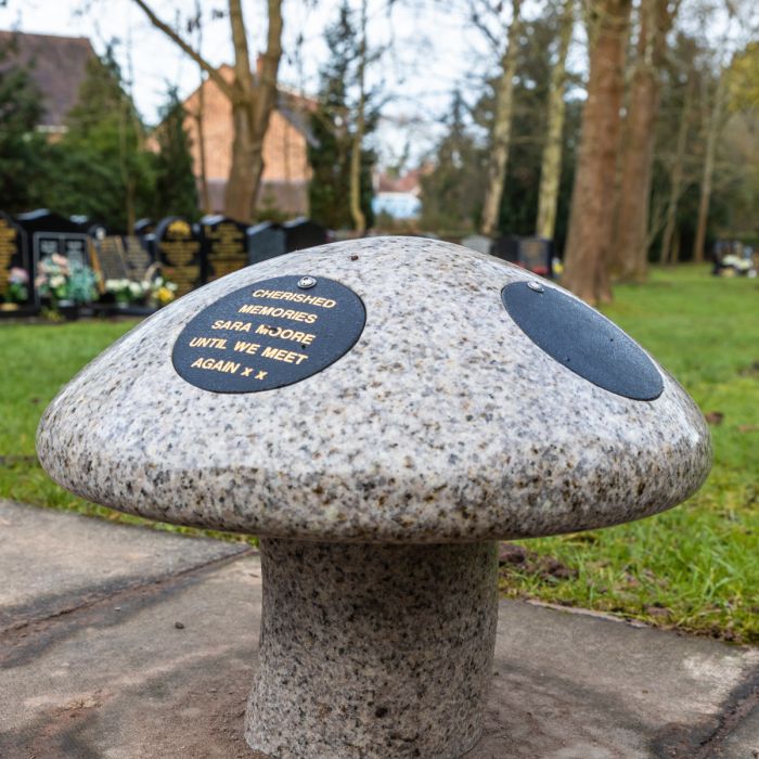 Granite Mushroom 4 disc - Image 4
